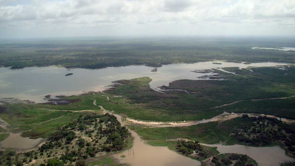 La Réserve animalière de Selous