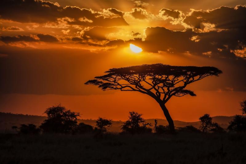 Organisez un voyage d'exception en Afrique !