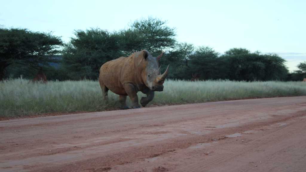 Waterberg Plateau National Park 