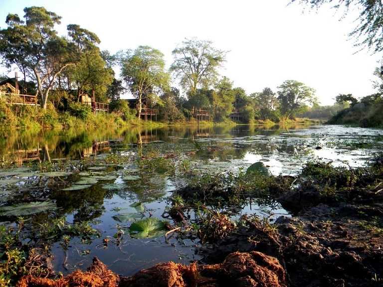 Le Parc National du Limpopo