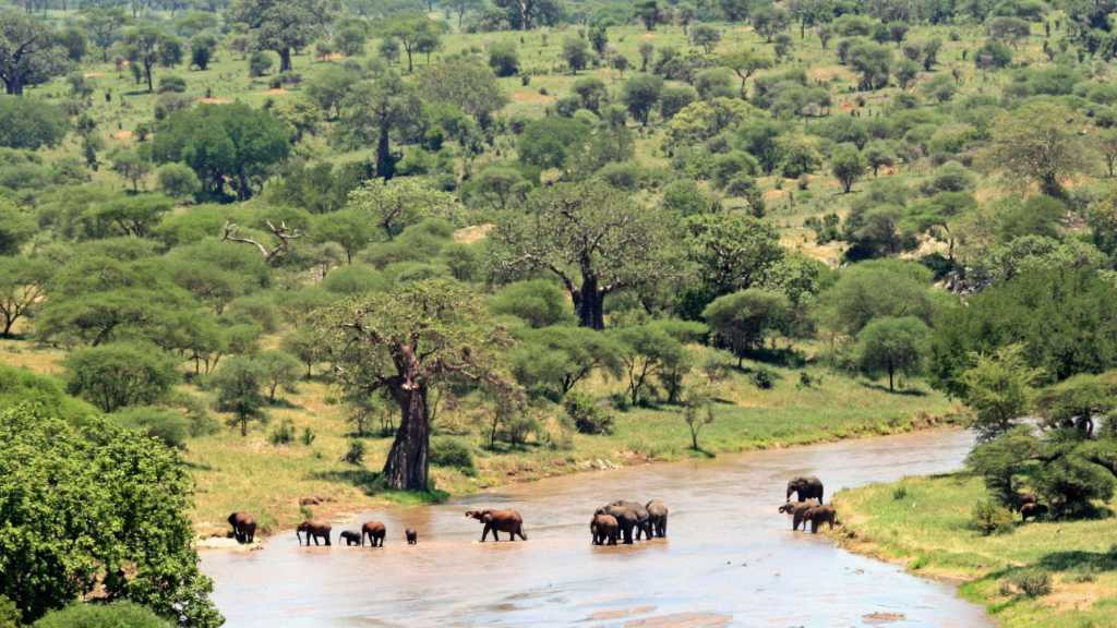 Le Parc National de Tarangire