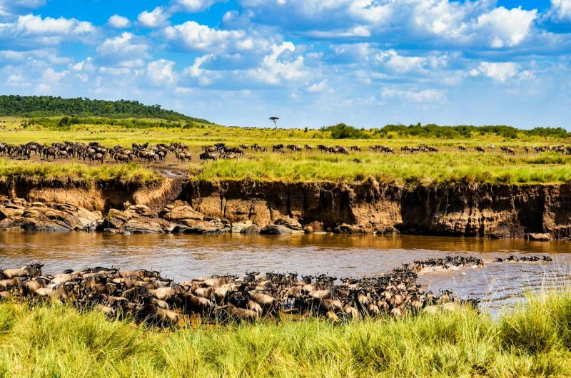Organisez un voyage d'exception en Afrique !