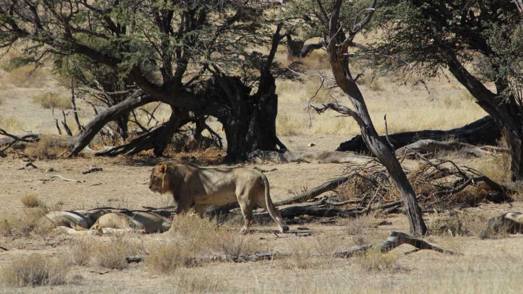 N/a'an ku sê Wildlife Sanctuary 