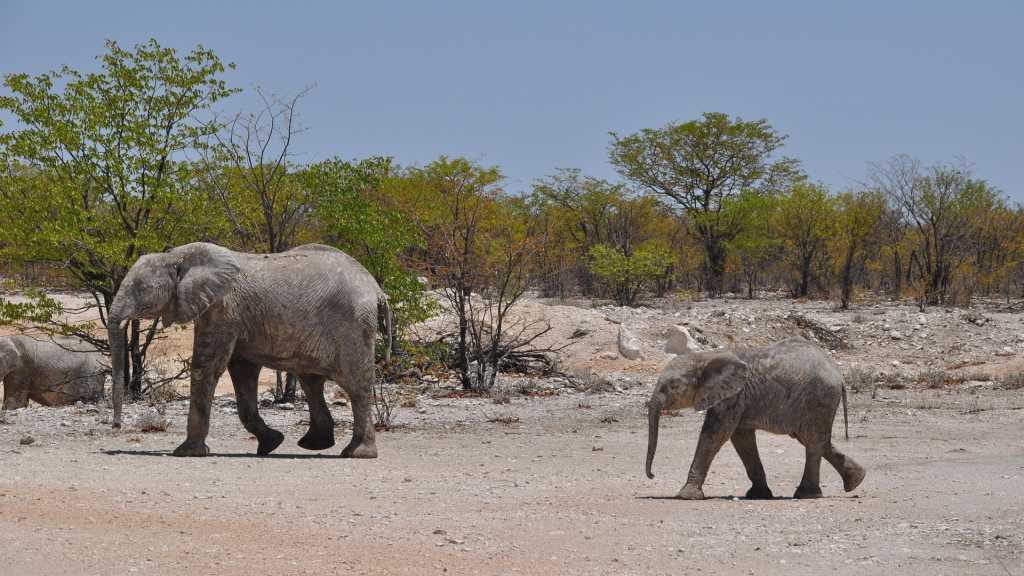 La région de Sesfontein et Khowarib