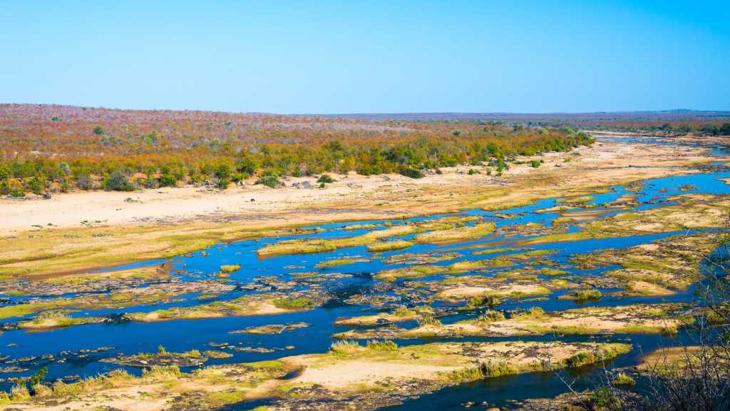 Centre Kruger