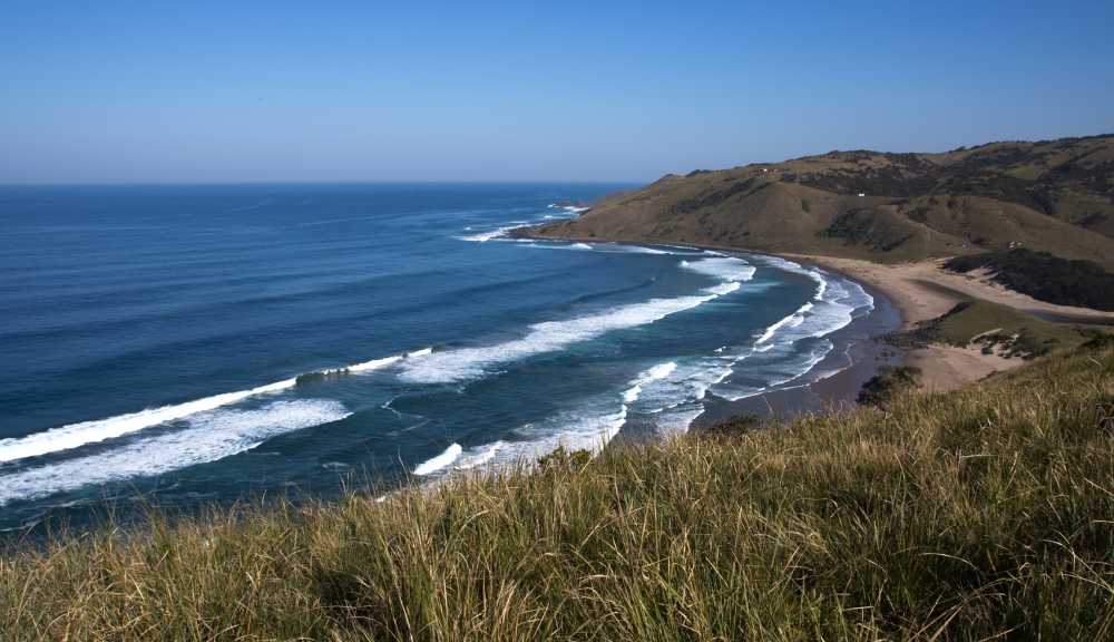 Wild Coast