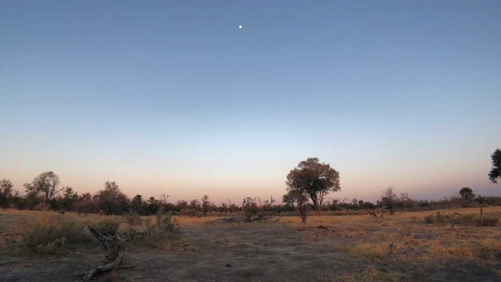 Orapa