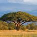 Hwange National Park, Zimbabwe.jpg