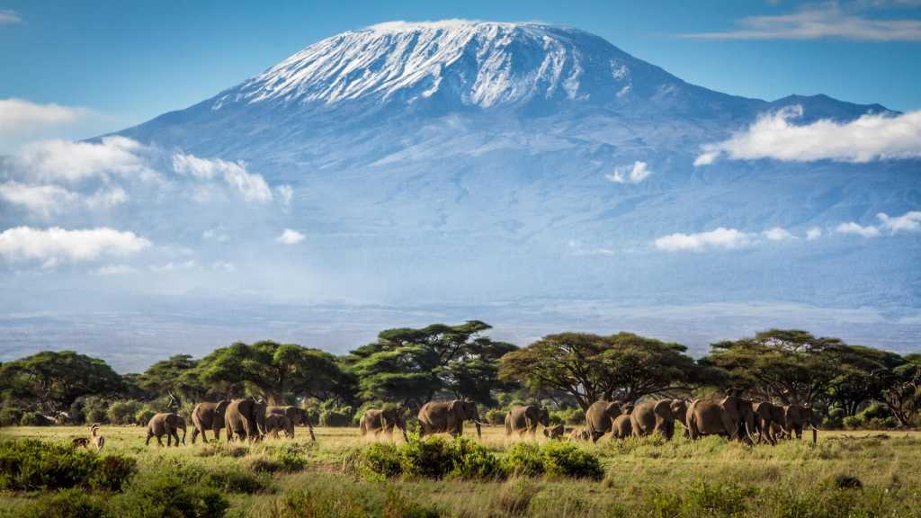 Mount Kilimanjaro