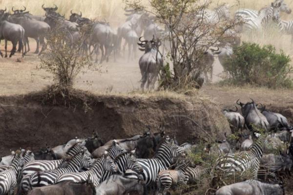 Sur les pistes de la Tanzanie