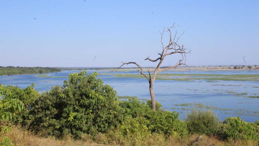 Le Parc National de Chobe