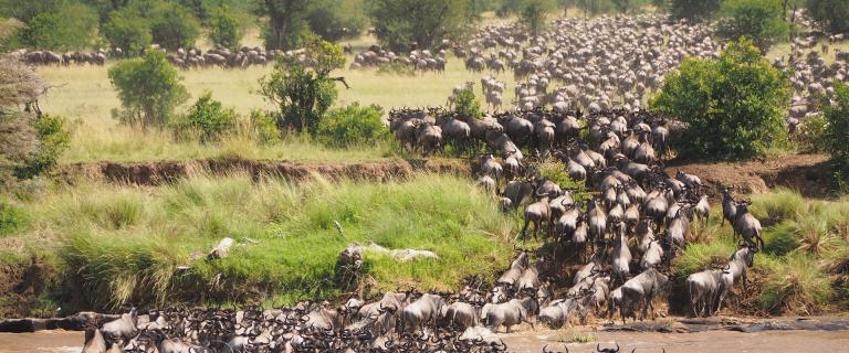 La Tanzanie La Tanzanie