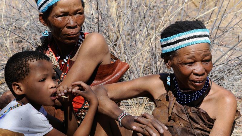 Évadez-vous dans le Kalahari : un voyage grandeur nature !