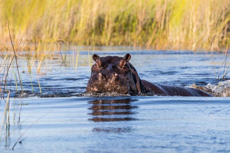 Organisez un voyage d'exception en Afrique !