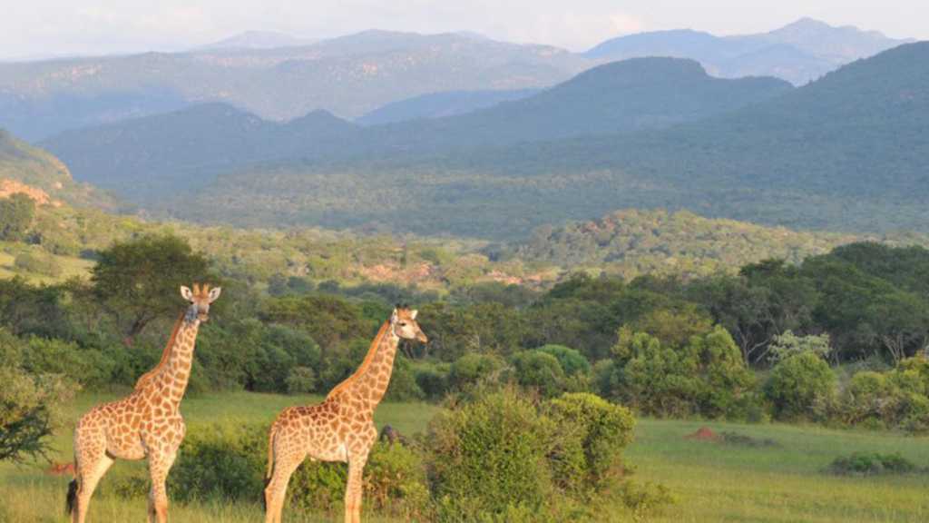 Leshiba et le peuple Venda
