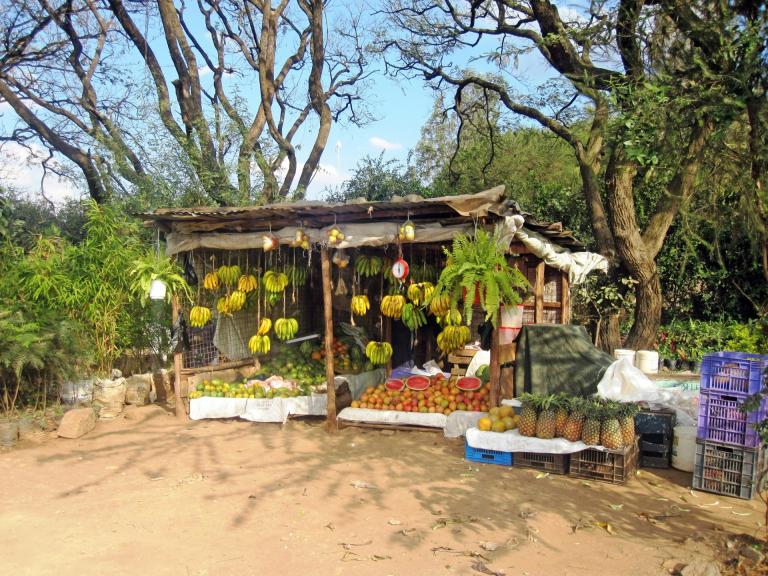 Masai Mara, Amboseli & Indian Ocean Beaches, 11 Days
