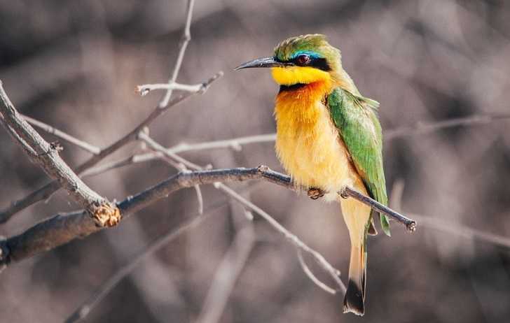 Parc National de Mudumu