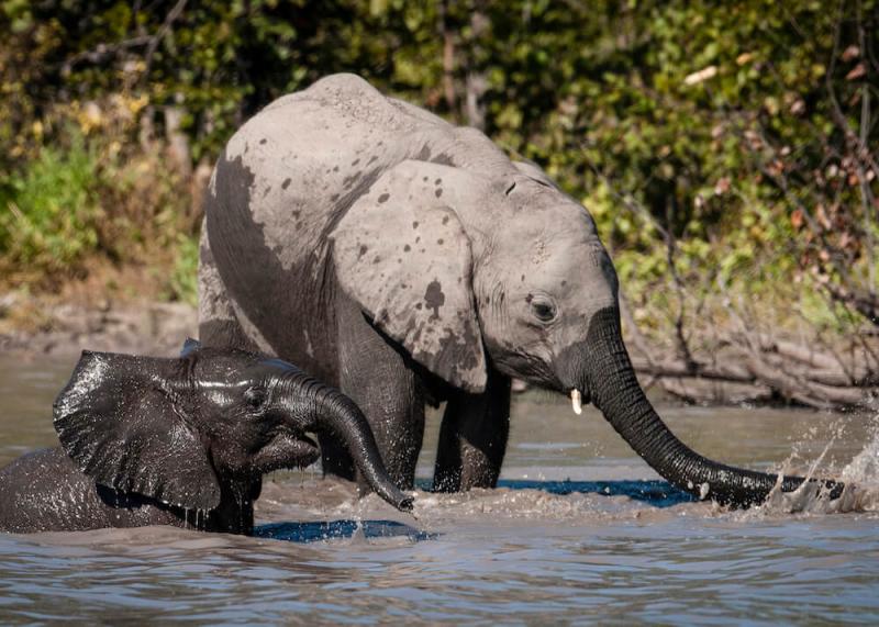 How to plan your next family trip to Africa?