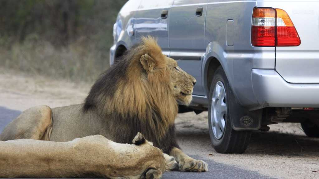 Parc national de Pilanesberg