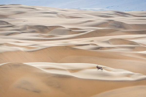 Contrastes d'Afrique : de la Namibie aux chutes Victoria ! 