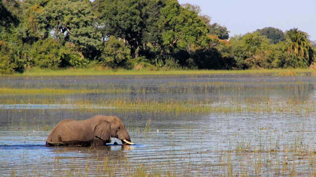 Chobe River Front