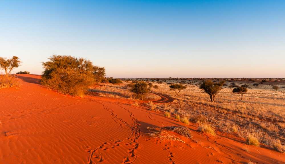 Kalahari