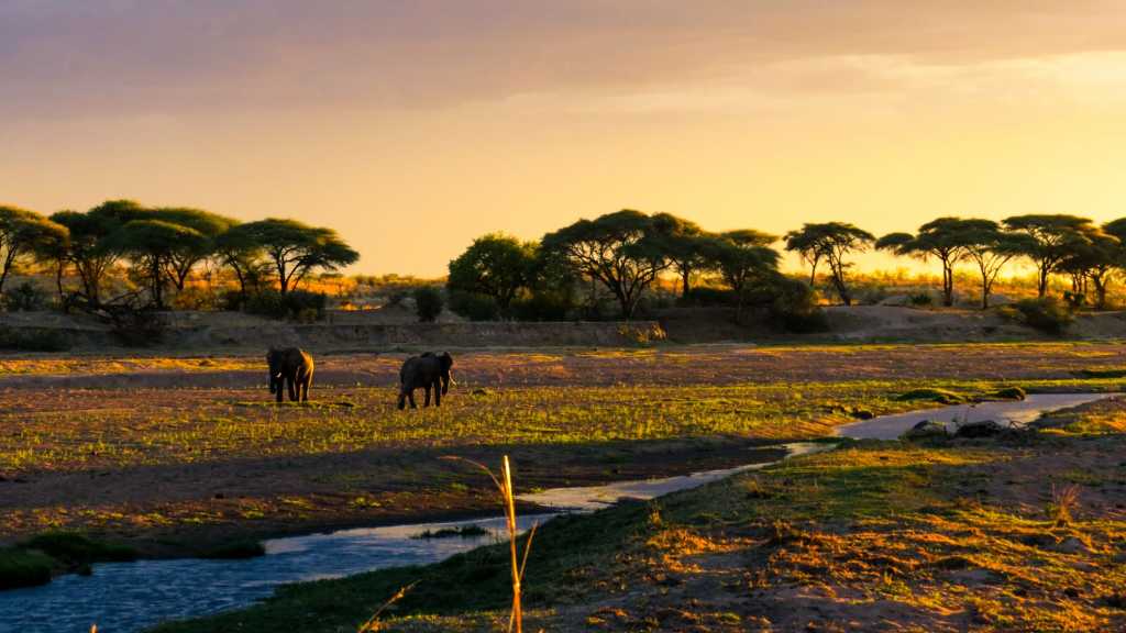 Le Parc National de Ruaha