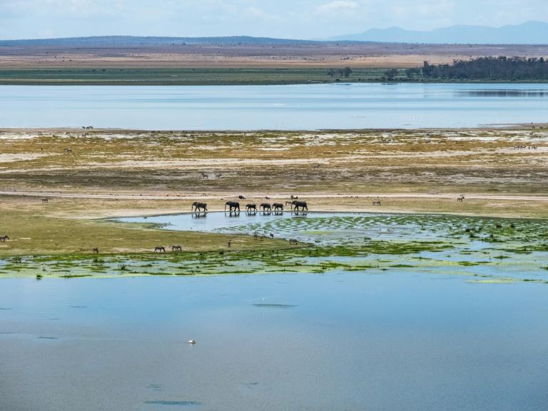 Masai Mara & Indian Ocean Beaches, 8 Days