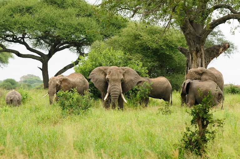 Maputo National Park