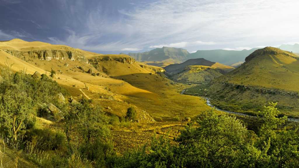Central Berg