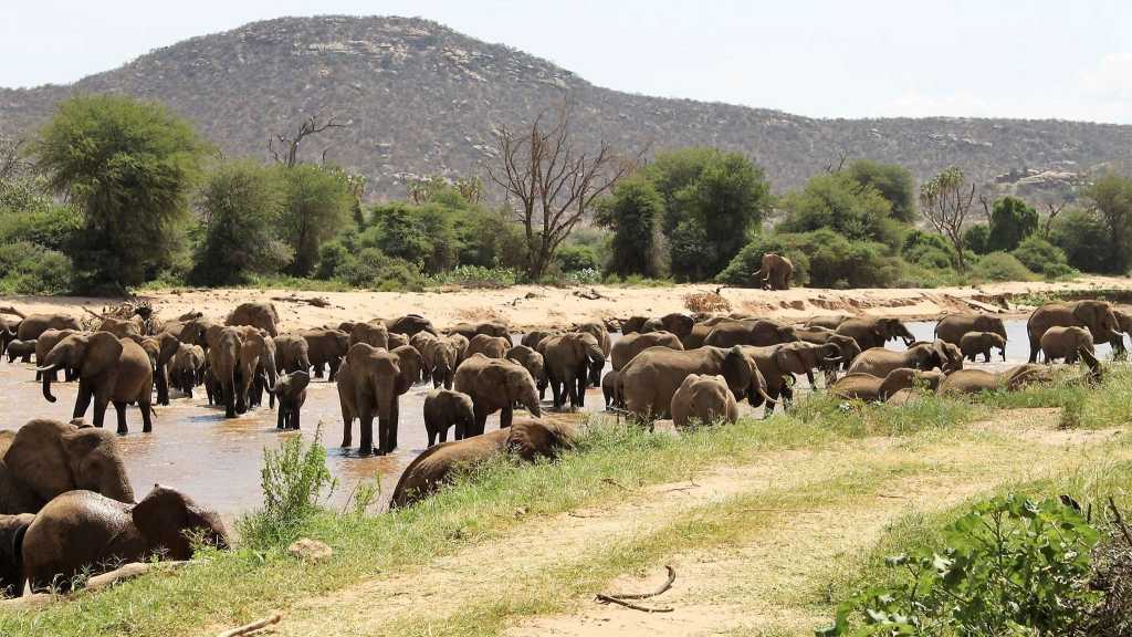 La Réserve Nationale de Samburu