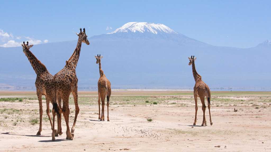 Amboseli National Park