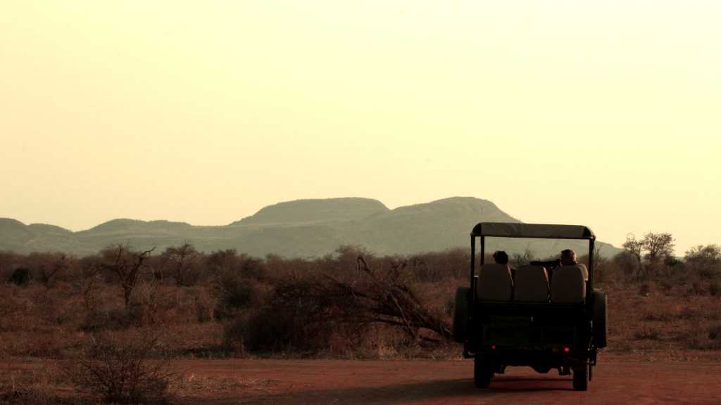 Réserve de Madikwe