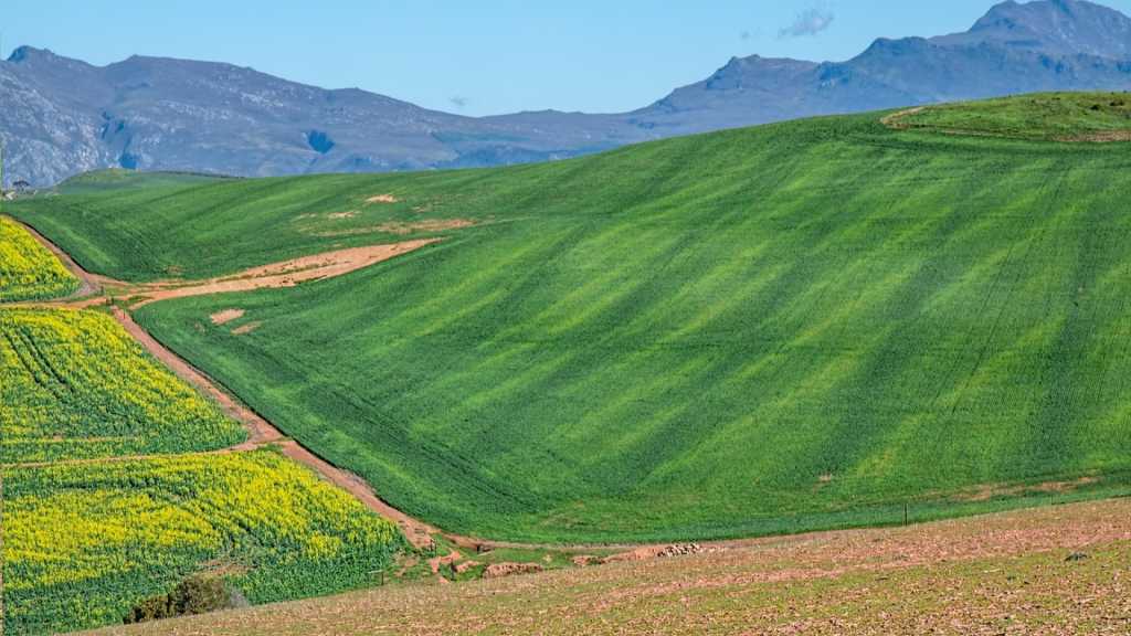 La région de Swellendam