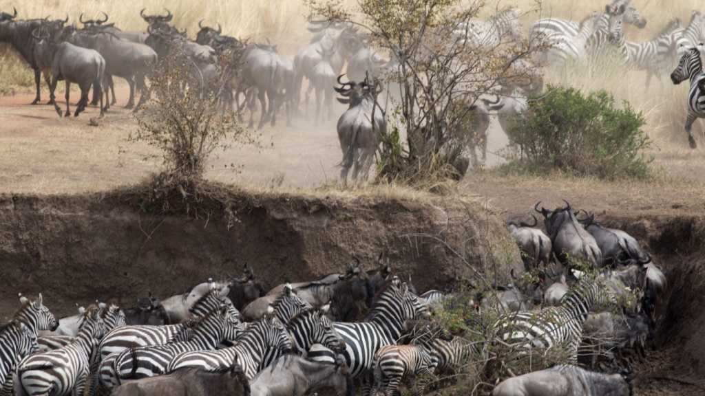 Serengeti National Park