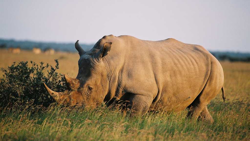 Francistown, Serowe et alentours