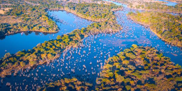 UNE JOURNÉE TYPE EN SAFARI MOBILE...