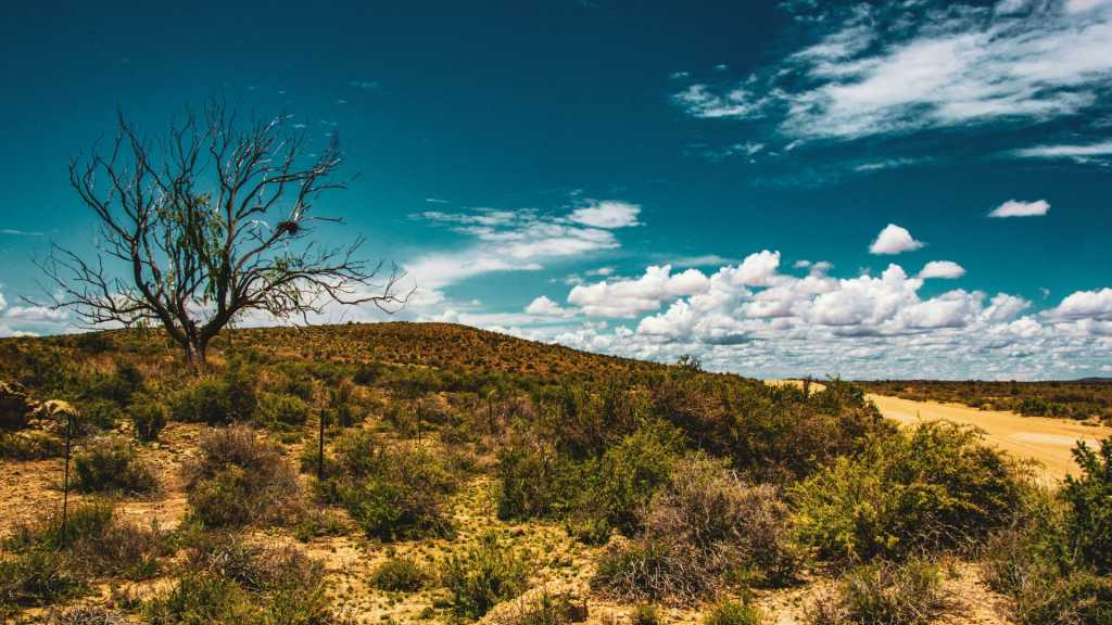 Parc national du Karoo