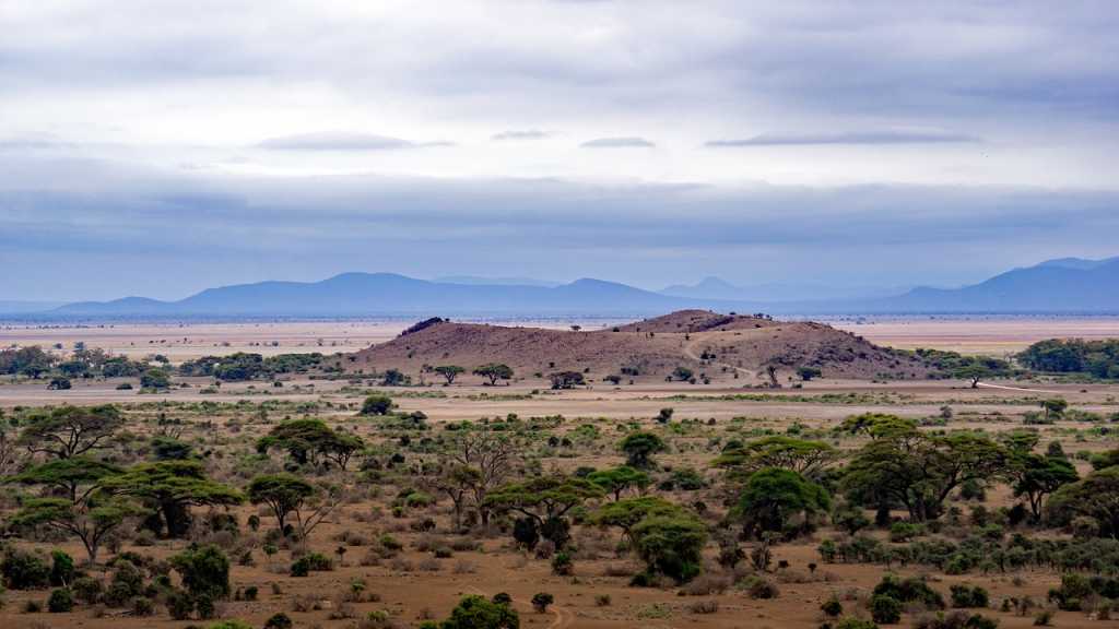 The city of Arusha