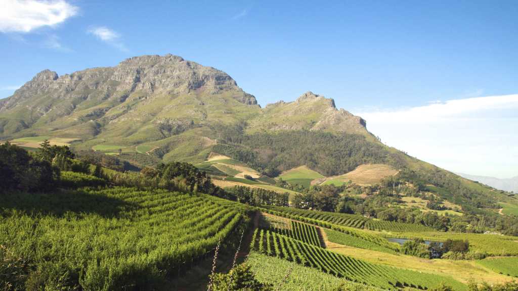 Cape Winelands