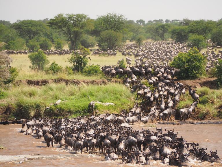 La Tanzanie