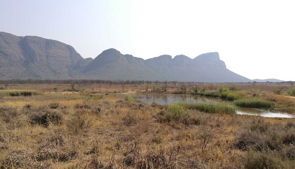 Entabeni Safari Conservancy