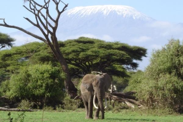 Kenya & Tanzania - from Amboseli to Ngorongoro
