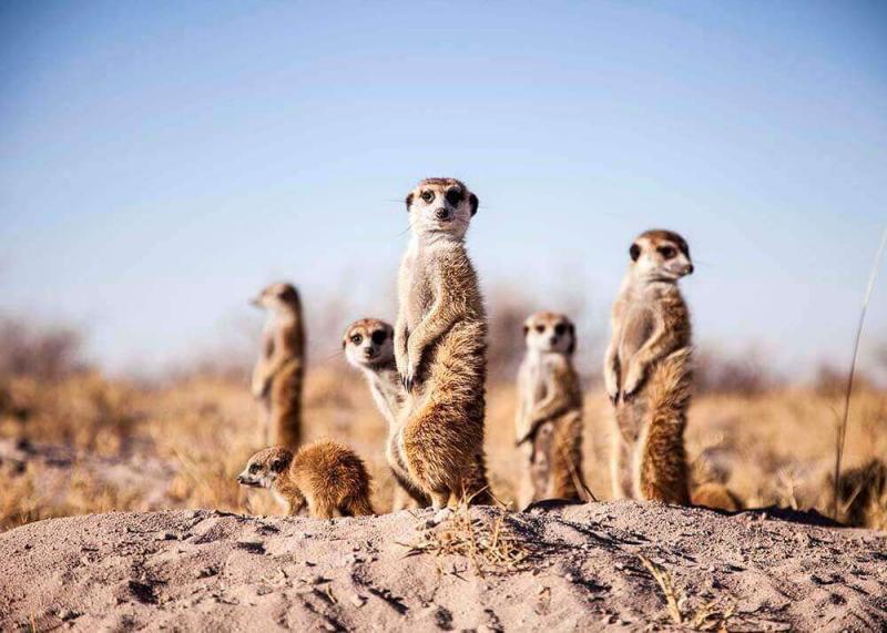 12 Unusual Escapes in Southern Africa