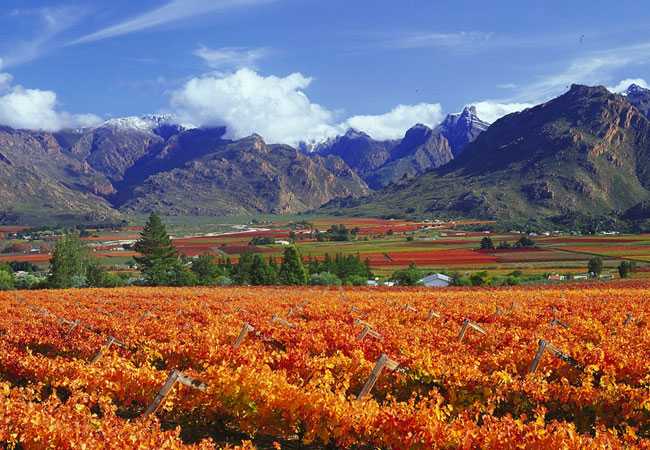 La Route 62 et le « petit Karoo »