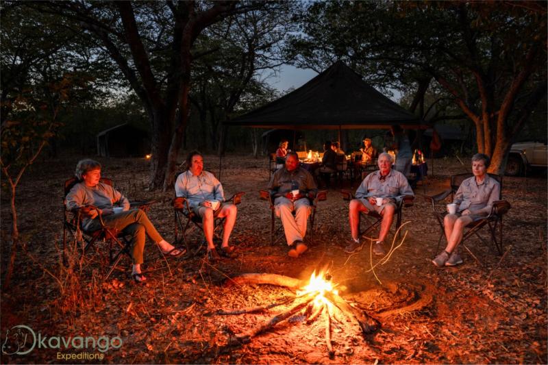 Mobile Safari: An Immersive Experience in the Wild