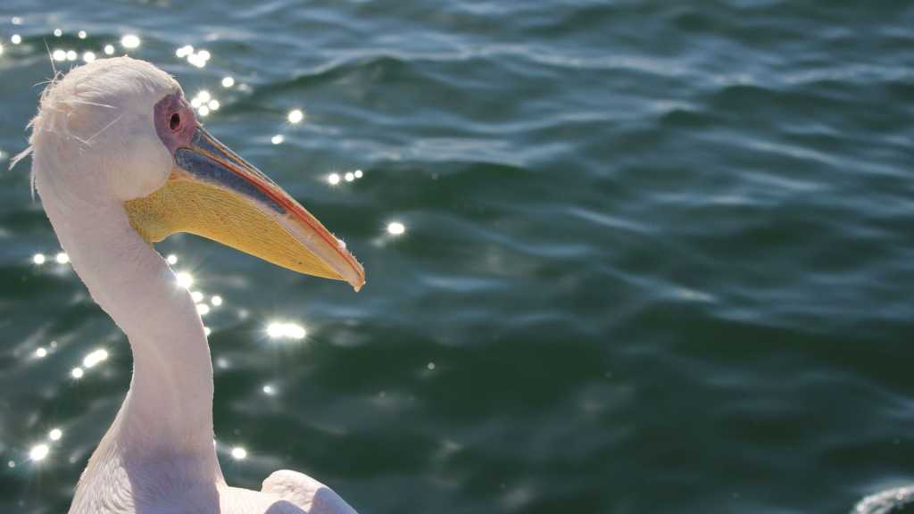 Swakopmund and Walvis Bay