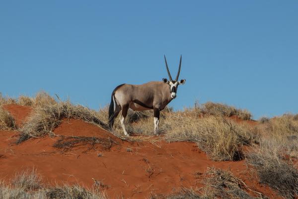 Namibie - le Grand Tour