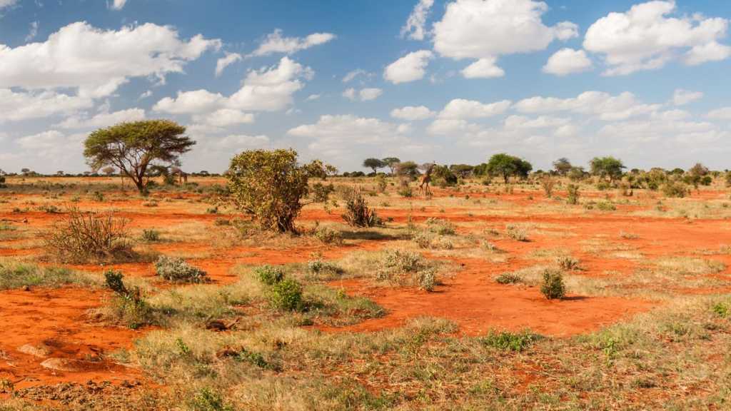 Le Parc National de Tsavo