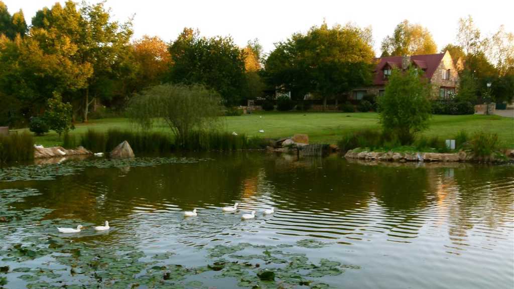 Dullstroom